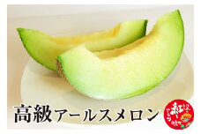 高級アールスメロン 1玉 山形県産 果物 フルーツ 【2025年9月上旬順次発送予定】