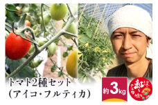 トマト2種セット (アイコ・フルティカ)  約3kg 山形県産 【2024年8月上旬～9月下旬に順次発送予定】
