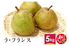 ラ・フランス 5kg 山形県産 フルーツ 果物 【2024年11月上旬～11月下旬に順次発送予定】