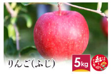 りんご (ふじ)  5kg 山形県産 フルーツ 果物 リンゴ 林檎 【2024年12月上旬～12月下旬に順次発送予定】