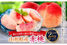 豊かな自然で、園主が愛情を注ぎ込んだ桃（赤桃） 2kg 約6～11玉 山形県産 【2025年8月上旬から下旬までに順次発送予定】