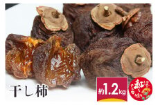干し柿 約1.2kg 山形県産 ドライフルーツ 【2025年12月下旬-2026年1月下旬に順次発送予定】