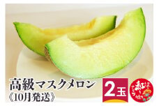 高級マスクメロン 2玉【10月発送】 山形県産 果物 フルーツ 【2024年10月上旬～10月下旬に順次発送予定】
