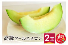 高級アールスメロン 2玉 山形県産 果物 フルーツ 【2025年9月上旬順次発送】