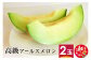高級アールスメロン 2玉 山形県産 果物 フルーツ 【2025年9月上旬順次発送】