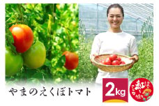 やまのえくぼトマト 2kg 山形県産 【2024年7月下旬～8月下旬に順次発送予定】