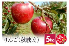 りんご (秋映え) 5kg 山形県産 フルーツ 果物 リンゴ 林檎 【2024年10月上旬～10月下旬に順次発送予定】 