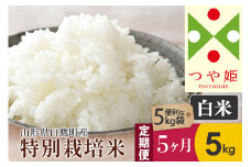 《定期便5ヶ月》【白米】つや姫 5kg×5回（特別栽培米）令和5年産 山形県産 しらたかのお米