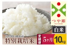 《定期便5ヶ月》【白米】つや姫 10kg×5回（特別栽培米）令和5年産 山形県産 しらたかのお米