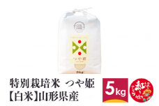 特別栽培米 つや姫 5kg 【白米】 山形県産 【船山ファーム】令和5年産