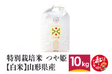 特別栽培米 つや姫 10kg 【白米】 山形県産 【船山ファーム】令和5年産