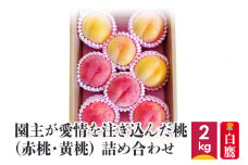 園主が愛情を注ぎ込んだ【桃】2kg 約6～11玉  (赤桃・黄桃)  詰め合わせ 山形県産 【2025年8月上旬から下旬までに順次発送予定】