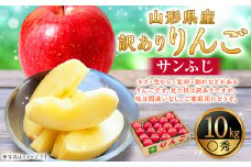 【訳あり】りんご（サンふじ・〇秀） 10kg 山形県産 フルーツ 果物 林檎 リンゴ りんご サンふじ 家庭用 規格外 【2025年11月下旬-12月上旬発送予定】
