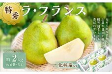 ラ・フランス （特秀）  2kg 【化粧箱入り】 山形県産 フルーツ 果物 【2025年11月上旬-12月上旬発送予定】