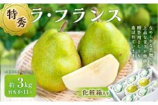 ラ・フランス （特秀） 3kg 【化粧箱入り】 山形県産 フルーツ 果物 【2025年11月上旬-12月上旬発送予定】