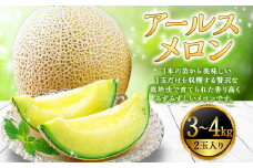 アールスメロン 2玉（3kg～4kg） 山形県産 【2025年9月順次発送予定】