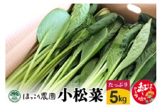 山形県白鷹町産 とれたて小松菜（5kg）個数限定 国産 旬 野菜 やさい こまつな