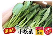 山形県白鷹町産【訳あり】とれたて小松菜（5kg）個数限定 国産 旬 野菜 やさい こまつな