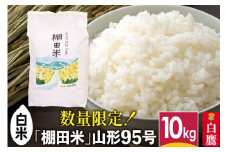 【白米】山形県産 棚田米 白鷹ほまれ 10kg 山形95号 令和6年産 米 お米 精米 コメ おこめ ごはん ご飯 白米 10キロ 【2024年10月下旬～11月下旬に順次発送予定】