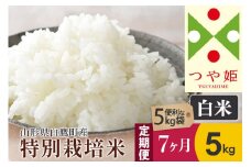 《定期便7ヶ月》【白米】つや姫 5kg×7回（特別栽培米）令和5年産 山形県産 しらたかのお米