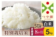 《定期便8ヶ月》【白米】つや姫 5kg×8回（特別栽培米）令和5年産 山形県産 しらたかのお米