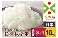 《定期便8ヶ月》【白米】つや姫 10kg×8回（特別栽培米）令和5年産 山形県産 しらたかのお米