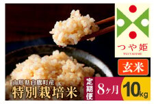 《定期便8ヶ月》【玄米】つや姫 10kg×8回（特別栽培米）令和5年産 山形県産 しらたかのお米