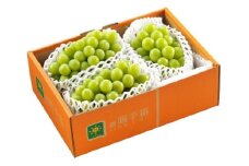 シャインマスカット 秀 （約1.7kg） マスカット ぶどう 果物 【2024年9月下旬～10月上旬発送予定】
