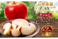 りんご（サンふじ・秀） 約2kg 5玉～8玉 リンゴ 林檎 果物 【2025年11月下旬～12月上旬発送予定】