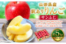 【訳あり品】 りんご（サンふじ・〇秀） 約5kg 14玉～23玉   リンゴ 林檎 果物 【2025年11月下旬～12月上旬発送予定】
