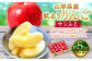 【訳あり品】 りんご（サンふじ・〇秀） 約5kg 14玉～23玉   リンゴ 林檎 【2025年11月下旬～12月上旬発送予定】