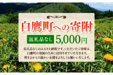 白鷹町への寄附（返礼品はありません） 5,000円 山形県 白鷹町 返礼品なし