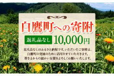 白鷹町への寄附（返礼品はありません） 10,000円 山形県 白鷹町 返礼品なし