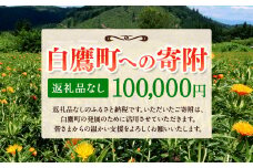 白鷹町への寄附（返礼品はありません） 100,000円 山形県 白鷹町 返礼品なし