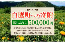 白鷹町への寄附（返礼品はありません） 500,000円 山形県 白鷹町 返礼品なし