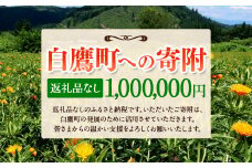 白鷹町への寄附（返礼品はありません） 1,000,000円 山形県 白鷹町 返礼品なし