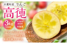 白鷹町産りんご （高徳） 3kg りんご 林檎 果物 くだもの フルーツ 旬 高徳 国産 山形県 白鷹町 【2025年11月上旬～11月下旬発送予定】
