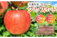 白鷹町産りんご （シナノスイート） 5kg りんご 林檎 果物 くだもの フルーツ 旬 シナノスイート 国産 山形県 白鷹町 【2025年9月下旬～10月上旬発送予定】