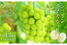 シャインマスカット（秀） 2～3房 （約1.5kg） シャインマスカット マスカット 葡萄 フルーツ 果物 果実 冷蔵 山形県 白鷹町 【2025年9月下旬～10月上旬順次発送予定】