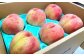 山形おきたま産もも（川中島白桃・まどかなど）5玉～7玉 （約2kg）