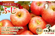 山形県産 りんご ふじ 約3kg 秀品 リンゴ 林檎 果物 くだもの フルーツ 山形 【2025年12月上旬～12月下旬順次発送予定】