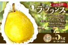 山形県産 ラ・フランス 約5kg 秀品 洋梨 ラフランス 西洋梨 洋ナシ 洋なし ようなし 果物 くだもの フルーツ 山形 【2025年12月上旬～12月下旬順次発送予定】