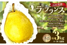 山形県産 ラ・フランス 約3kg 秀品 洋梨 ラフランス 西洋梨 洋ナシ 洋なし ようなし 果物 くだもの フルーツ 山形 【2025年12月上旬～12月下旬順次発送予定】