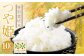 特別栽培米〈令和6年産〉 つや姫 約10kg（約5kg×2袋セット） 
