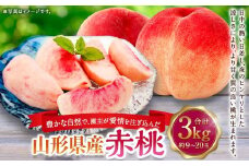 豊かな自然で、園主が愛情を注ぎ込んだ桃（赤桃） 約3kg （9玉～20玉） ご家庭用 果物 くだもの 夏果実 フルーツ 産地直送 【2025年8月順次発送予定】