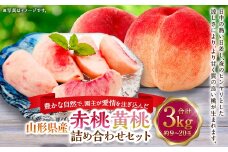 豊かな自然で、園主が愛情を注ぎ込んだ桃（赤桃・黃桃） 詰め合わせ 約3kg （9玉～20玉） ご家庭用 果物 くだもの 夏果実 フルーツ 産地直送 【2025年8月順次発送予定】