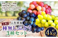 たっぷり日光を浴びたみずみずしい種無しぶどう3種セット ( シャインマスカット ＋ 旬なぶどう ) 約4kg 産地直送 フルーツ マスカット ぶどう 果物 高級 ぶどう【2025年9月下旬-10月上旬順次発送予定】