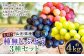 たっぷり日光を浴びたみずみずしい種無しぶどう3種セット ( シャインマスカット ＋ 旬なぶどう ) 約4kg