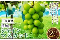 たっぷり日光を浴びたみずみずしい種無しシャインマスカット 約2kg ギフト 高級 果物 【2025年9月下旬-10月上旬順次発送予定】