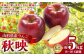 山形県産りんご 秋映 約5kg 秀品